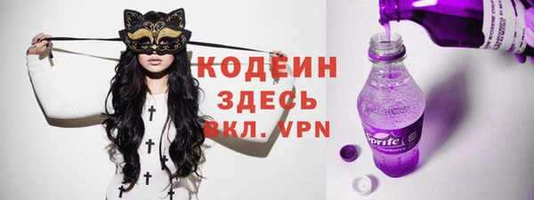 прущий лед Туринск