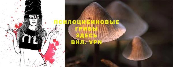 трава Тутаев