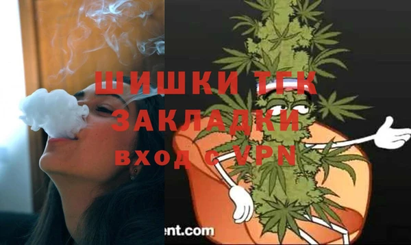 прущий лед Туринск